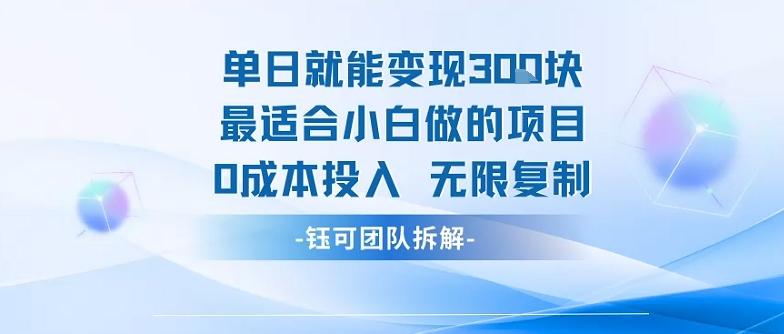 单日就能变现3张最适合小白做的项目0成本投入 无限复制-清风网创资源站
