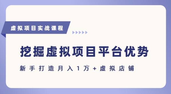 抓住虚拟项目各平台优势，新手轻松月入1W+(给出具体建议)-清风网创资源站