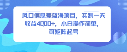 风口信息差蓝海项目，实测一天收益4k+，小白操作简单，可矩阵起号-清风网创资源站