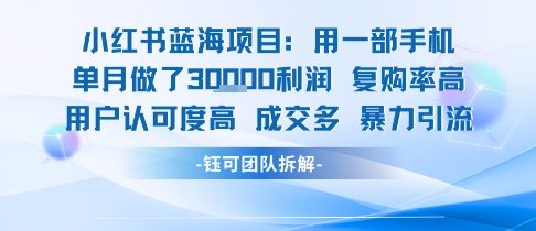 小红书蓝海项目，一部手机单月做了3W利润，小白也能月入过1W用户认可度高成交多-清风网创资源站