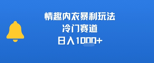 情趣内衣暴利玩法，冷门赛道，日入1k+-清风网创资源站