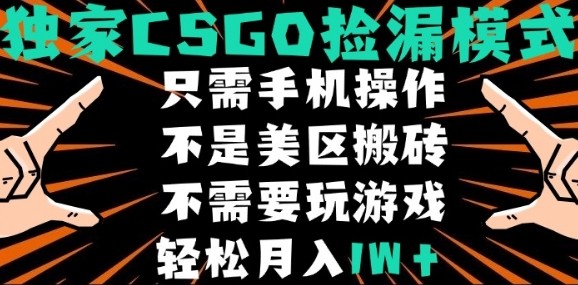 CSGO自动捡漏项目，最新独家玩法，不是美区搬砖，不需要了解和玩游戏，新手小白轻松月入1W+【揭秘】-清风网创资源站