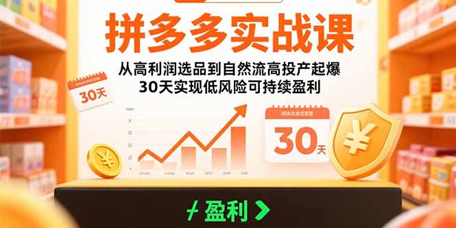 拼多多实战课：从高利润选品到自然流高投产起爆 30天实现低风险可持续盈利-清风网创资源站