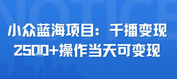 小众蓝海项目，千播变现2.5k+操作当天可变现-清风网创资源站