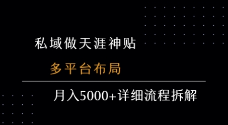 私域做天涯神贴 多平台布局 月入5k+详细流程拆解-清风网创资源站