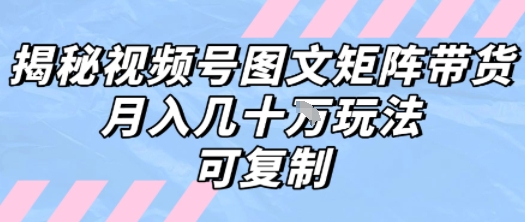 解密视频号图文矩阵带货，月入几个W的打法，可复制-清风网创资源站