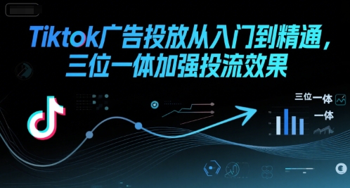 Tiktok广告投放从入门到精通，三位一体加强投流效果-清风网创资源站