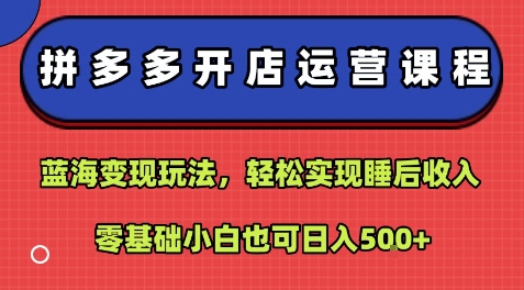 拼多多开店运营课程：蓝海变现玩法，轻松实现睡后收入，零基础小白也可日入5张-清风网创资源站