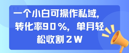 一个小白可操作私域，转化率90%，单月轻松收割2W-清风网创资源站