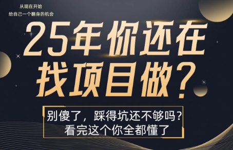 25年，你还在疯狂的找项目吗？别傻了，看完这个你都懂了【揭秘】-清风网创资源站
