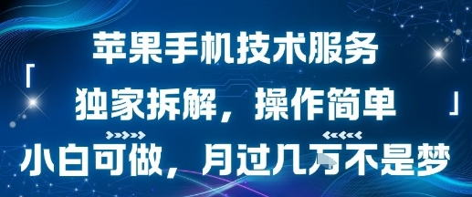 苹果手机技术服务，独家拆解，操作简单，小白可做，月过1W不是梦-清风网创资源站