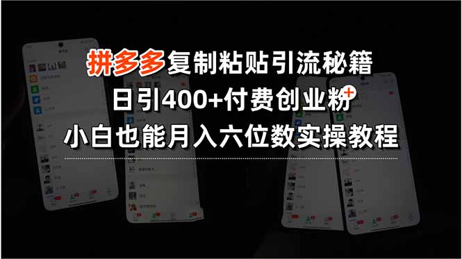 拼多多复制粘贴引流秘籍，日引400+付费创业粉，小白也能月入六位数实操…-清风网创资源站