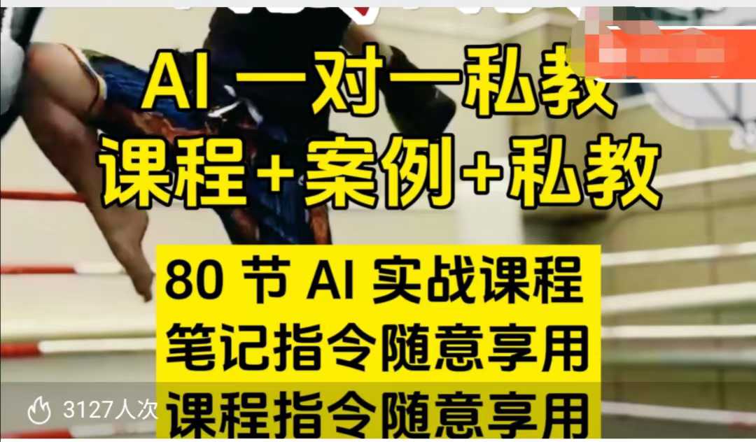 AI指令实战课，课程+案例，80节AI实战课程，笔记指令随意享用，课程指令随意享用(更新7月)-清风网创资源站