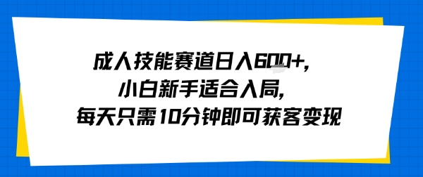 成人技能赛道日入多张，小白新手适合入局，每天只需10分钟即可获客变现-清风网创资源站
