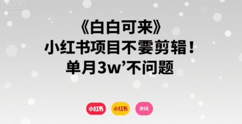 小白可来 小红书项目不需要剪辑 单月3w不是问题-清风网创资源站