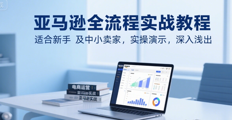 亚马逊全流程实战教程，适合新手及中小卖家，实操演示，深入浅出-清风网创资源站