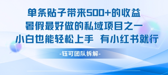 单条贴子带来5张的收益，暑假最好做的私域项目之一，小白也能轻松上手，有小红书就行-清风网创资源站