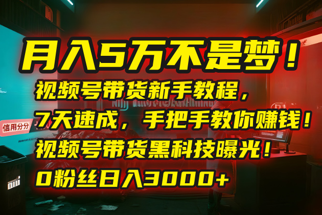 月入5万不是梦！视频号带货新手教程，7天速成，手把手教你赚钱！视频号…-清风网创资源站