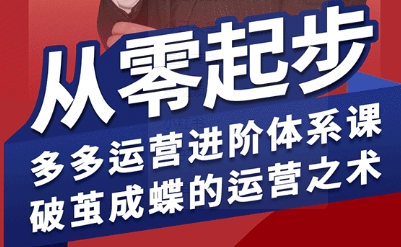拼多多运营进阶系统课，从零起步，多多运营进阶体系课，破茧成蝶的运营之术-清风网创资源站