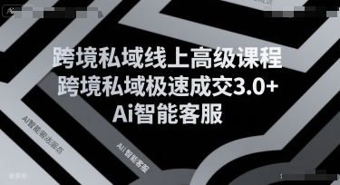 跨境私域线上高级课程，跨境私域极速成交3.0+Ai智能客服-清风网创资源站