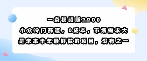 一条视频挣1k，小众冷门赛道，0成本，市场需求大，是未来半年最好做的项目，没有之一-清风网创资源站