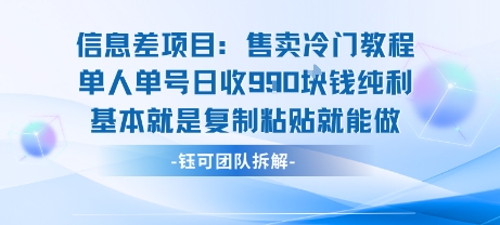 信息差项目：售卖冷门教程单人单号日收9张纯利基本就是复制粘贴就能做-清风网创资源站