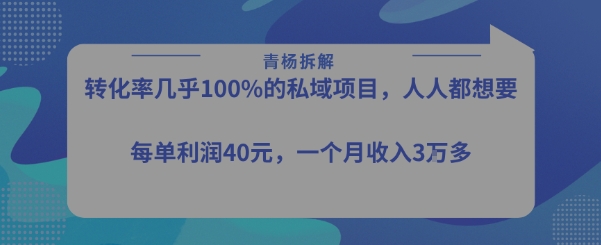 转化率最高的私域项目，每单利润40-50米，月入过1w-清风网创资源站