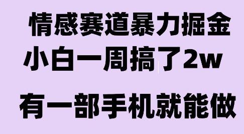 情感暴力掘金项目，新人操作一周挣了2W，长期稳定小白可做【揭秘】-清风网创资源站