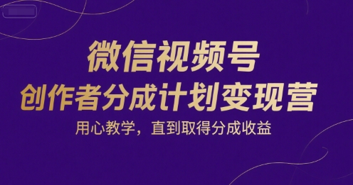 微信视频号创作者分成计划变现营，用心教学，直到取得分成收益-清风网创资源站
