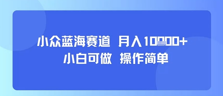 小众蓝海赛道，小白可做，操作简单，每天30分钟，月入1W+-清风网创资源站