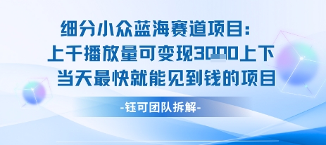 小众蓝海赛道项目：当天变现1k+适合新手操作 +适合长期玩-清风网创资源站