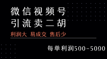 视频号卖二胡教程，利润大 易成交 售后少，一单利润5张+-清风网创资源站