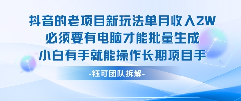 老项目新玩法单月收入2W小白有手就能操作长期项目-清风网创资源站