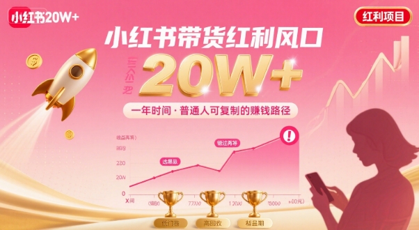 一年时间靠小红书带货项目年入20w+，最不能错的大红利项目-清风网创资源站