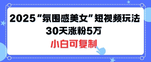 不露脸也能火！2025“氛围感美女”短视频玩法，30天涨粉5W小白可复制-清风网创资源站