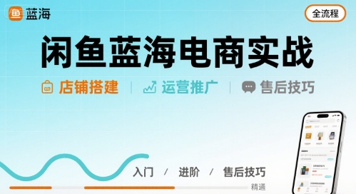 闲鱼蓝海电商实战，店铺搭建运营售后全流程-清风网创资源站
