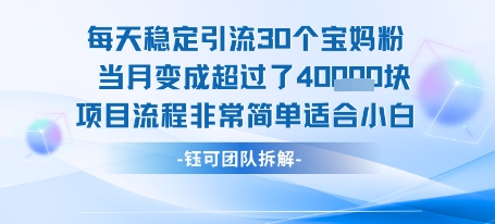 每天稳定引流30个人 当月变成超过了4个W项目流程非常简单适合小白-清风网创资源站