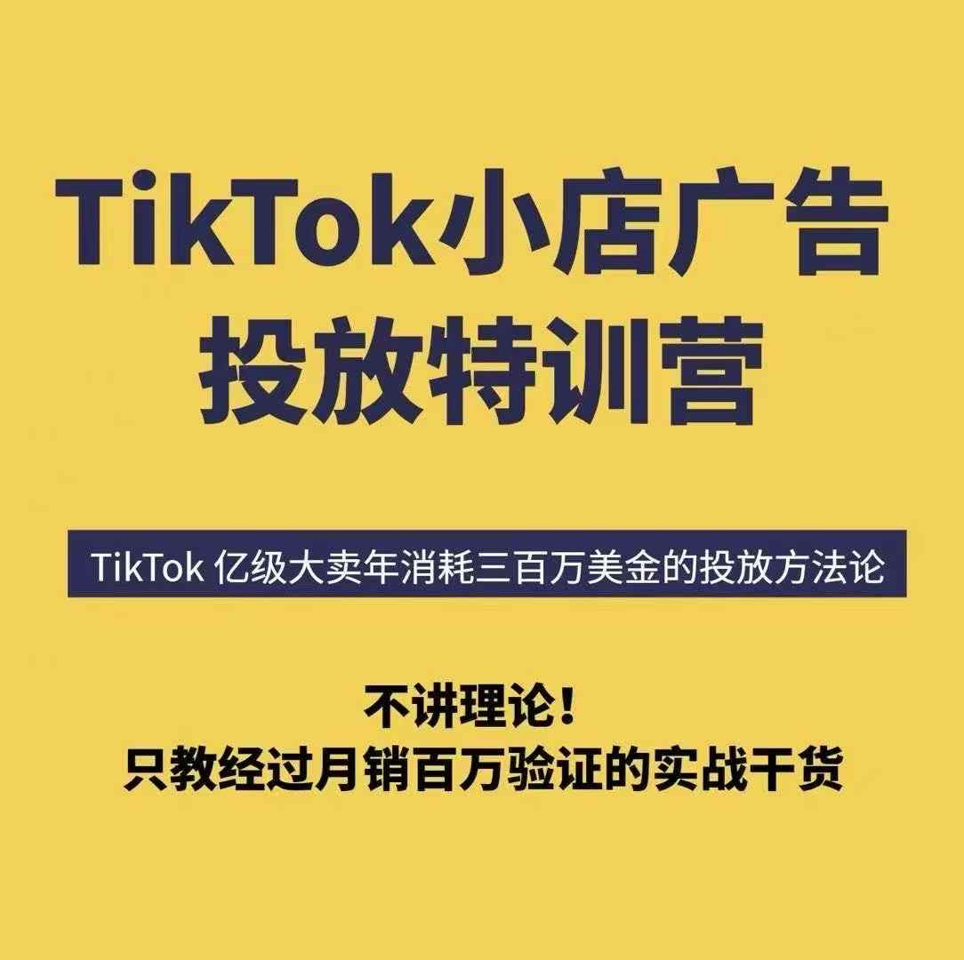 TikTok小店广告投放特训营，6天破局计划专治各种“投不动”，教你经过月销百万验证的实战干货-清风网创资源站