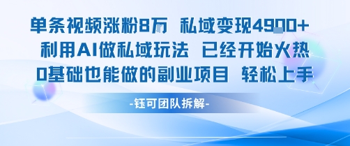 单条视频私域变现4.9k+利用AI做私域玩法 已经开始火热0基础也能做的副业项目轻松上手-清风网创资源站