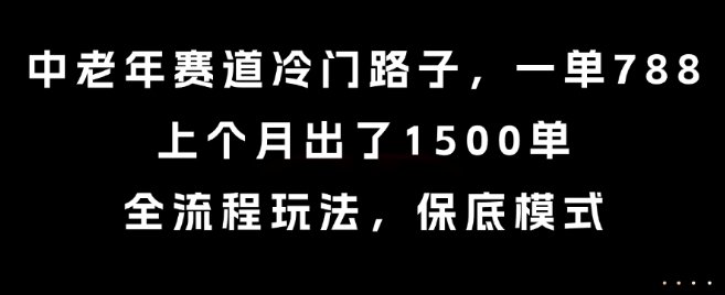 中老年赛道冷门路子，一单788，上个月出了1500单，全流程玩法，保底模式【揭秘】-清风网创资源站