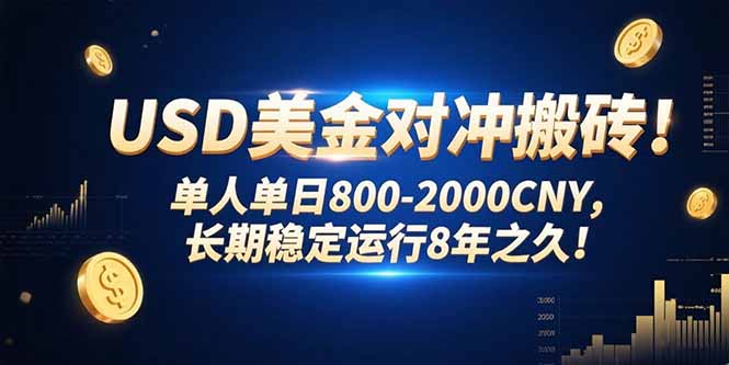 USD美金对冲搬砖!单人单日800-2000CNY，长期稳定运行8年之久!-清风网创资源站