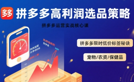 拼多多选品暴利技术实战课，拼多多高利润选品策略，拼多多限时低价标签秘诀-清风网创资源站