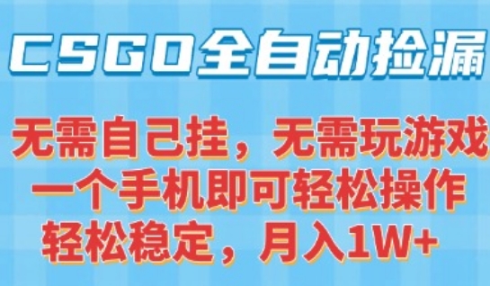 CSGO自动捡漏项目，最新独家玩法，一个手机可操作，新手小白轻松月入1W+，操作简单易上手【揭秘】-清风网创资源站