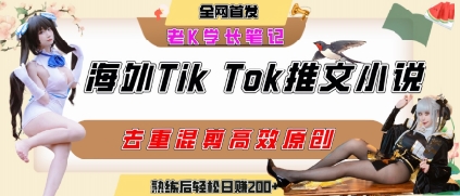 海外tiktok小说推文暴力项目，高停留率，高转化率，上手后一天搞顿饭钱不是问题-清风网创资源站