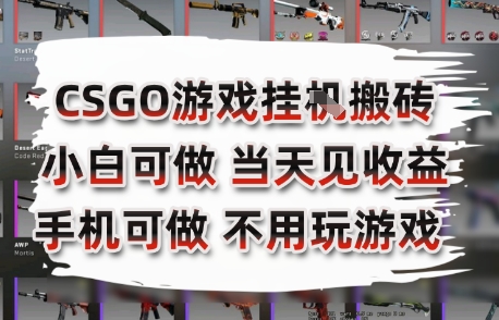 CSGO游戏挂G搬砖，小白纯手机即可操作，不用电脑打游戏，日入3张+，副业网创项目【揭秘】-清风网创资源站