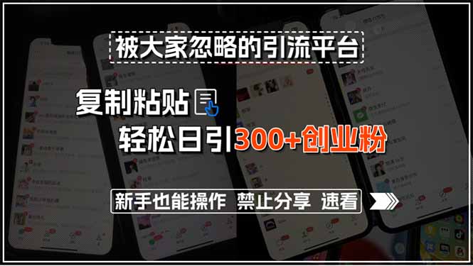 被大家忽略的引流平台，复制粘贴轻松日引300+创业粉，新手也能操作，禁…-清风网创资源站