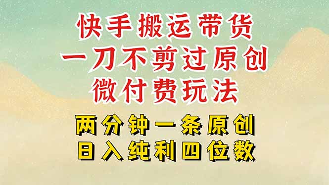 快手黑科技搬运带货，一刀不剪过原创，微付费投流玩法，轻松日入四位数…-清风网创资源站
