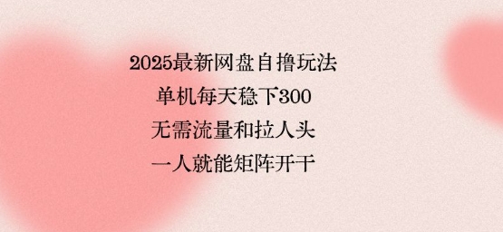 2025最新网盘自撸玩法，单机每天稳下3张，无需流量和拉人头，一个人就可轻松矩阵，全网独一份【揭秘】-清风网创资源站