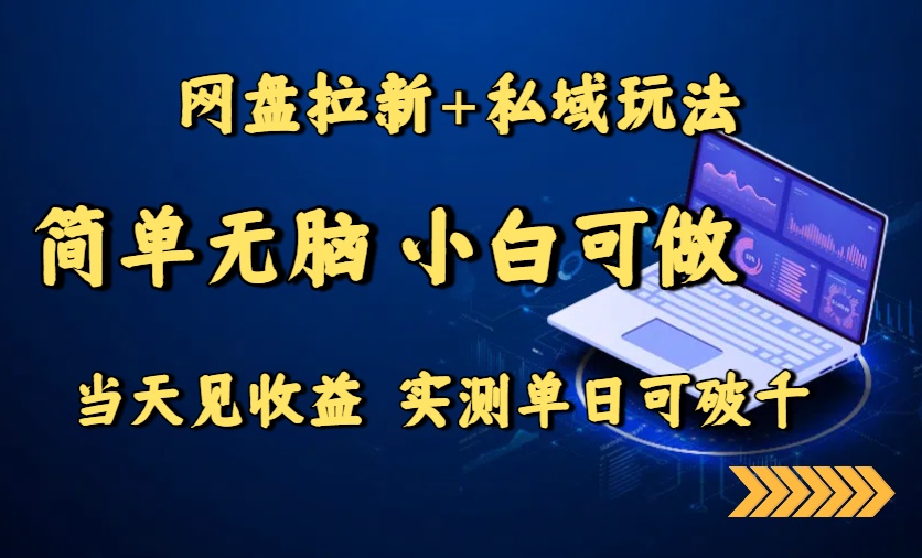 网盘拉新+私域玩法，简单无脑，小白可做，当天见收益，实测单日可破千-清风网创资源站