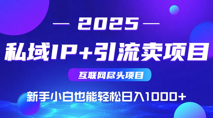 2025网创尽头项目，私域IP+引流，新手小白也能在家日入1000+-清风网创资源站